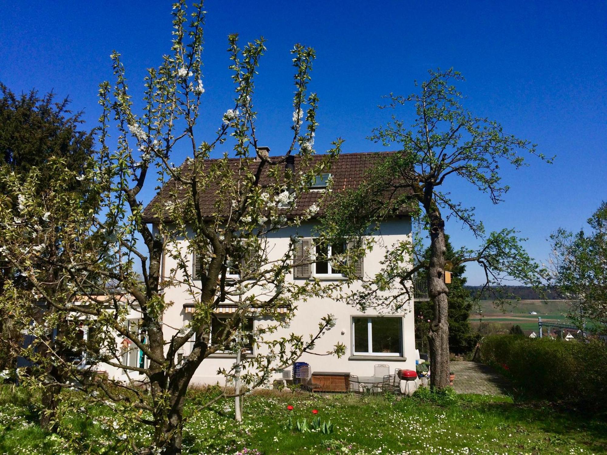 Guntli'S Family Guesthouse Andelfingen Exteriér fotografie